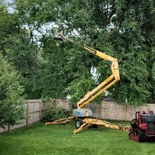 Best Tree Preservation Services  in Gilmer, TX